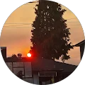 Lira Askonsis Avatar